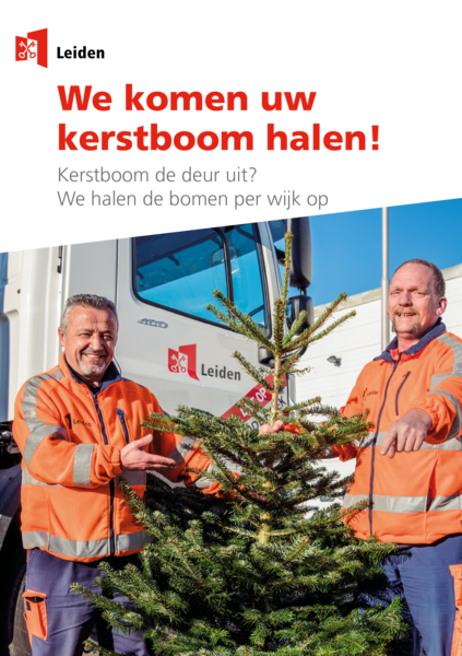 kerstboom