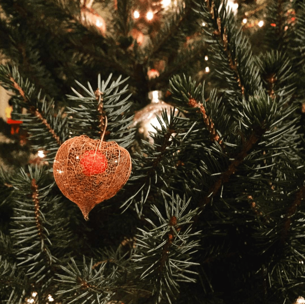 screen-shot-2016-12-24-at-20-13-22