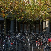 08 11 09_1631_bewerkt-1